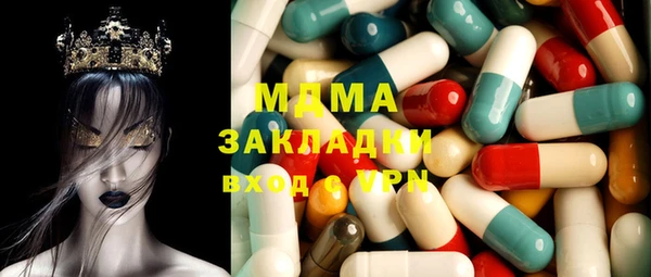 индика Аркадак