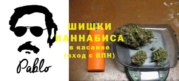 индика Аркадак