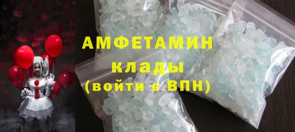 индика Аркадак