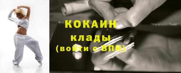 индика Аркадак