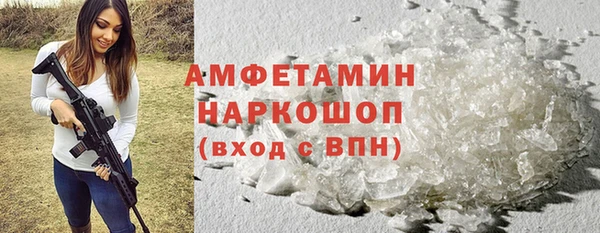 индика Аркадак