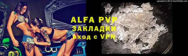 индика Аркадак